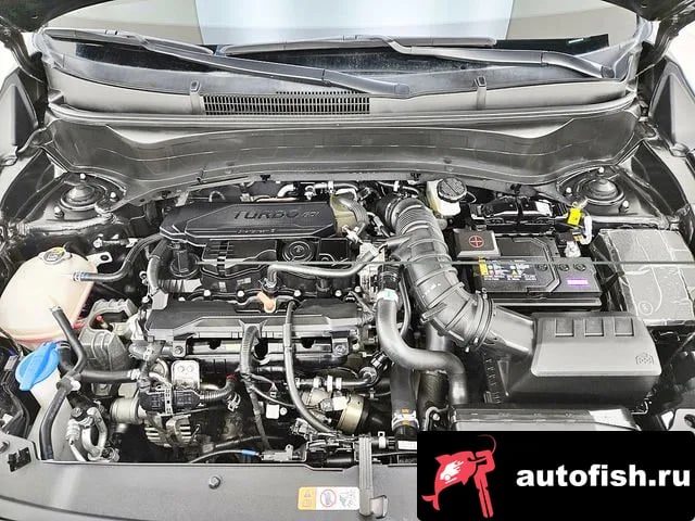 Kia Seltos The New Celtos 2024 года - вид 5