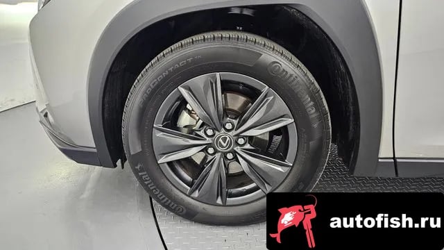 Lexus UX UX300h 2025 года - вид 5