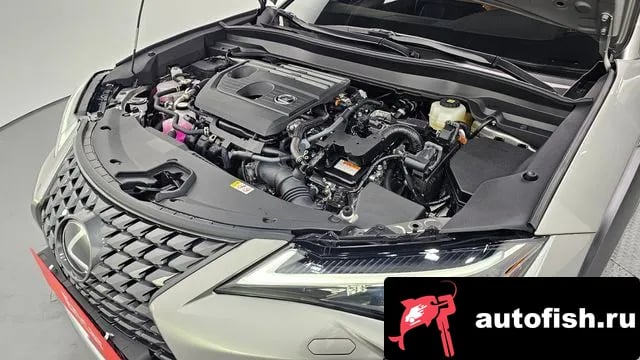 Lexus UX UX300h 2025 года - вид 6