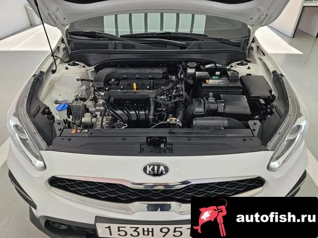 Kia K3 Come New K3 2020 года - вид 6