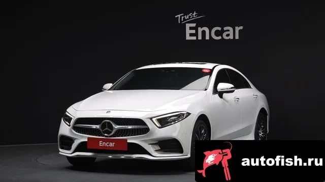 Mercedes-Benz CLS-Class CLS-Class C257 2019 года - вид 1