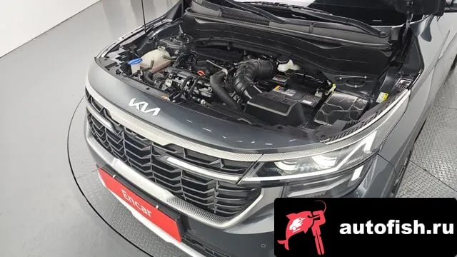 Kia Seltos The New Celtos 2022 года - вид 6