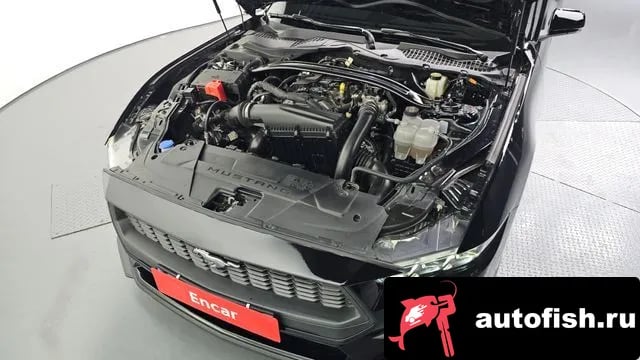 Ford Mustang Mustang 7th Generation 2024 года - вид 6