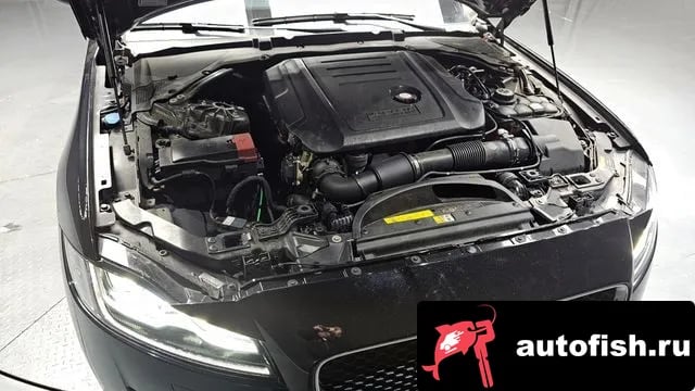 Jaguar XF XF (X260) 2019 года - вид 6