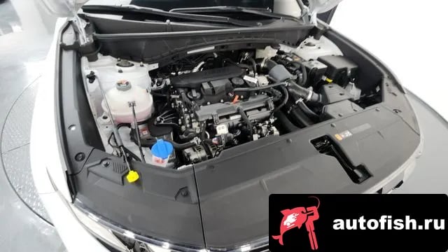 Hyundai Tucson The New Tucson (NX4) 2025 года - вид 6