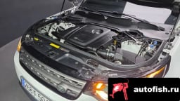 Миниатюра 6