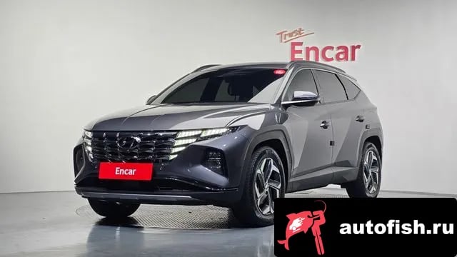 Hyundai Tucson Tucson (NX4) 2023 года - вид 1