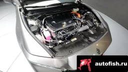 Миниатюра 6