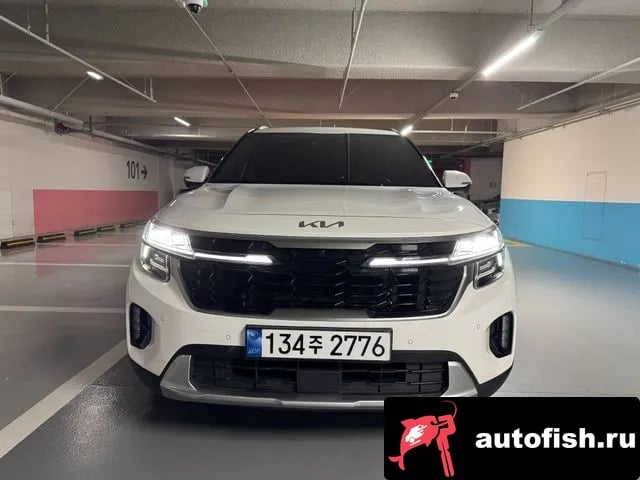 Kia Seltos The New Celtos 2023 года - похожие автомобили
