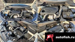 Миниатюра 6