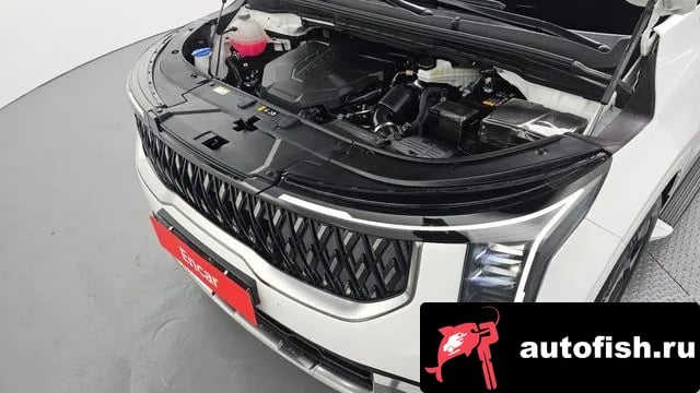 Kia Carnival The New Carnival 4th Generation 2024 года - вид 6