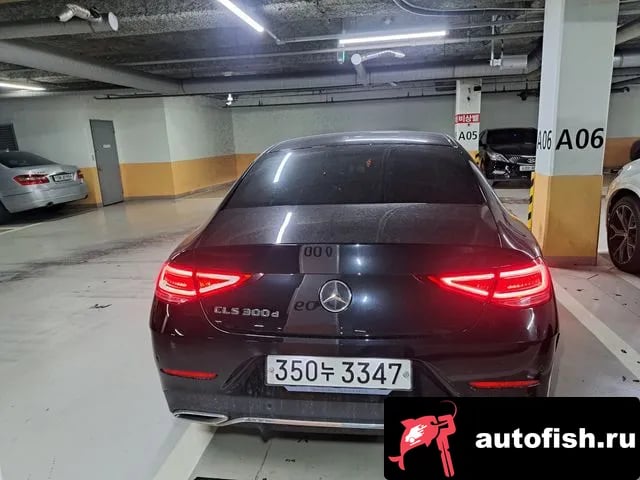 Mercedes-Benz CLS-Class CLS-Class C257 2019 года - вид 2