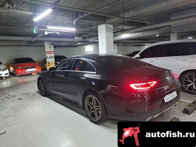 Mercedes-Benz CLS-Class CLS-Class C257 2019 года - вид 6