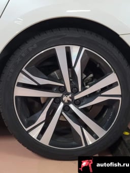 Миниатюра 6