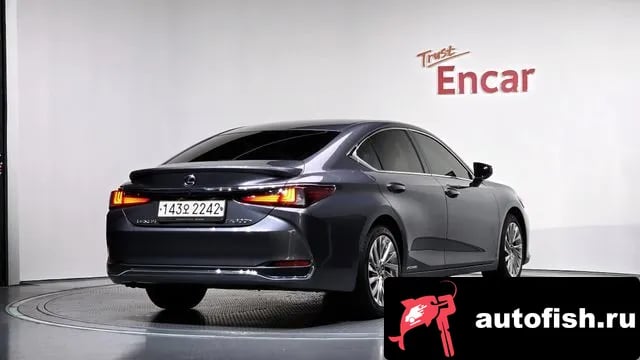Lexus ES ES300h 7th generation 2020 года - вид 2