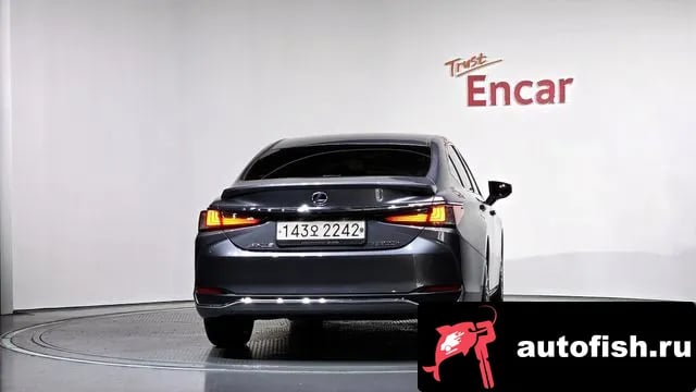 Lexus ES ES300h 7th generation 2020 года - вид 4