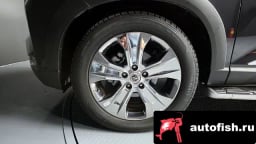 Миниатюра 5