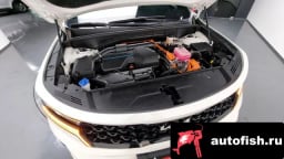 Миниатюра 6