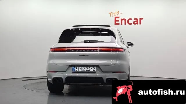 Porsche Cayenne Cayenne (PO536) 2024 года - вид 4