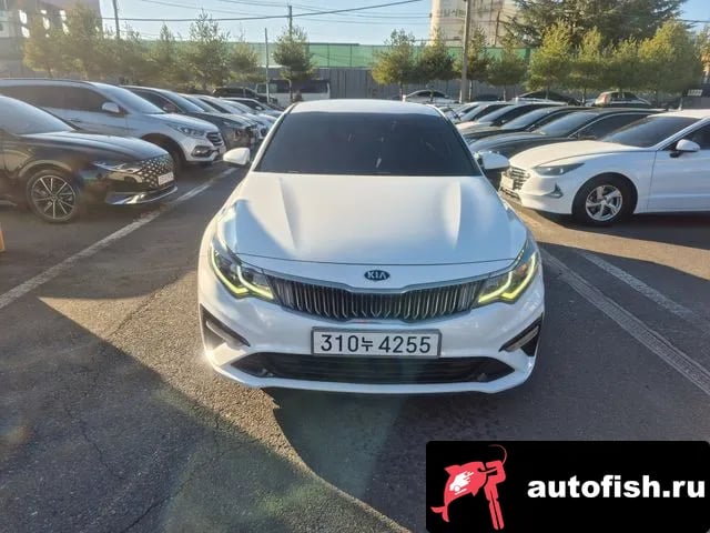 Kia K5 The New K5 2nd generation 2019 года - вид 1