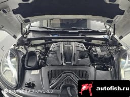 Миниатюра 6