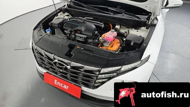 Hyundai Tucson Tucson Hybrid (NX4) 2021 года - вид 6