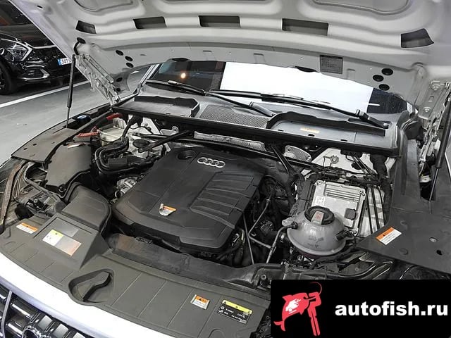 Audi Q5 Q5 (FY) 2021 года - вид 6