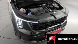 Миниатюра 6