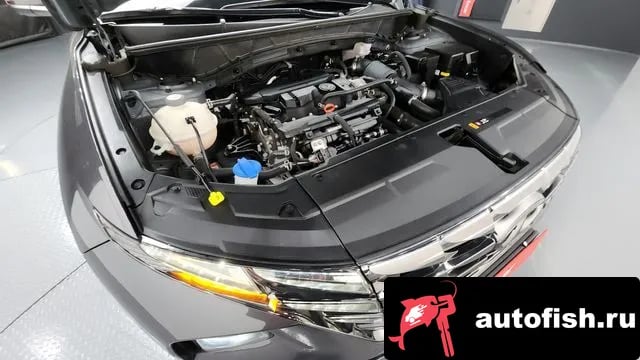 Hyundai Tucson Tucson (NX4) 2021 года - вид 6