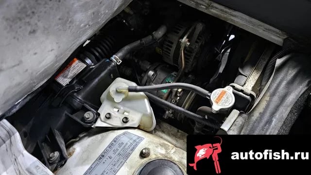 Chevrolet (GM Daewoo) labo New Labo 2017 года - вид 6