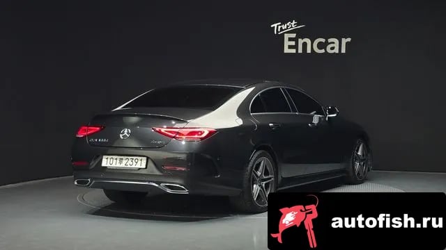Mercedes-Benz CLS-Class CLS-Class C257 2022 года - вид 2