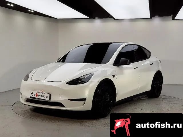 Tesla Model Y Model Y 2021 года - похожие автомобили