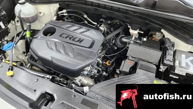 Kia Sportage Sportage The Bold 2018 года - вид 6