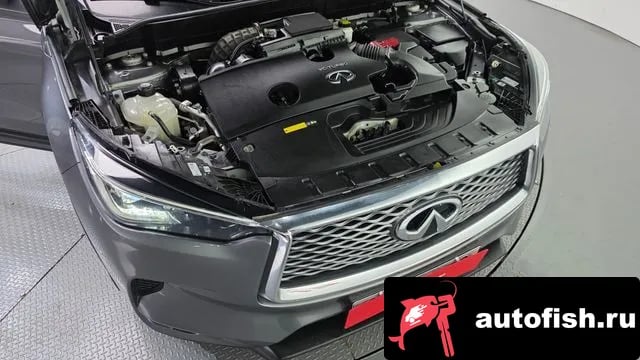 Infiniti QX50 QX50 (P71A) 2019 года - вид 6