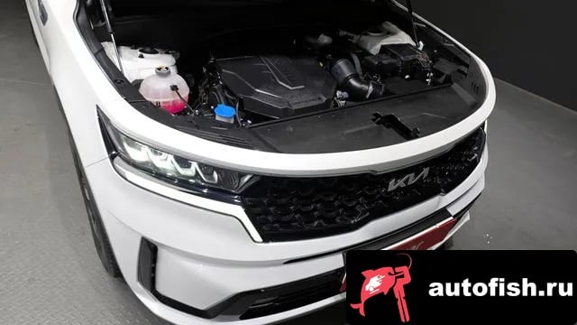 Kia Sorento Sorento 4th Generation 2021 года - вид 6