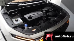 Миниатюра 6