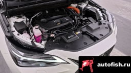 Миниатюра 6