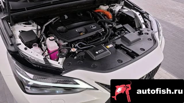 Lexus NX NX350h Second generation 2024 года - вид 6