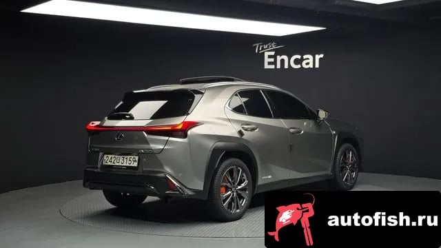 Lexus UX UX250h 2020 года - вид 2