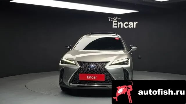 Lexus UX UX250h 2020 года - вид 3