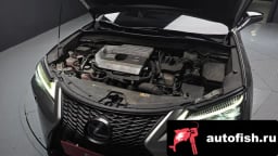 Миниатюра 6