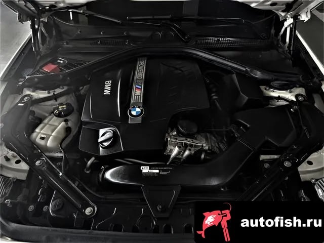 BMW M2 M2 (F87) 2018 года - вид 6