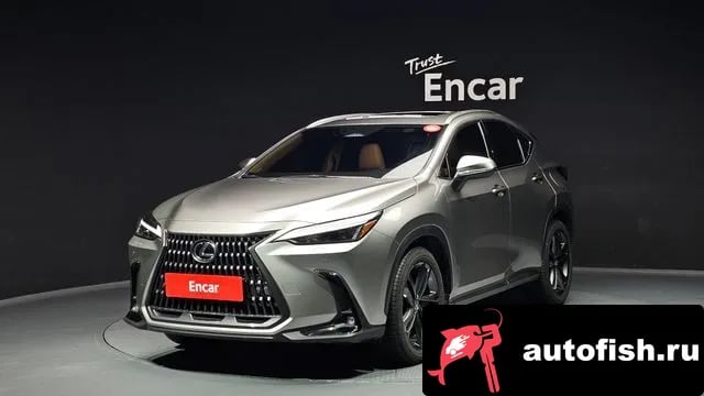 Lexus NX NX350h Second generation 2024 года - автомобиль из Южной Кореи