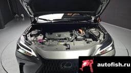 Миниатюра 6