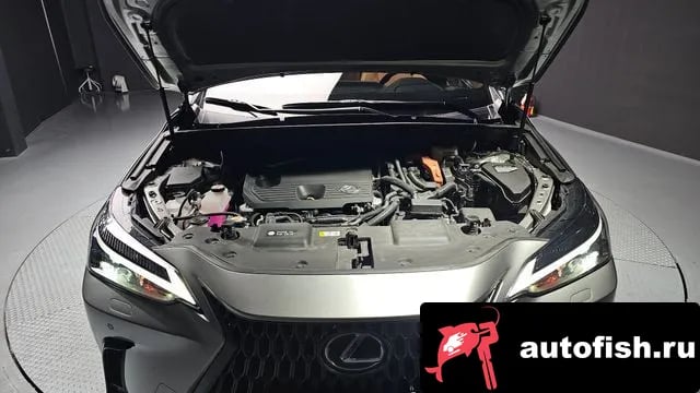 Lexus NX NX350h Second generation 2024 года - вид 6