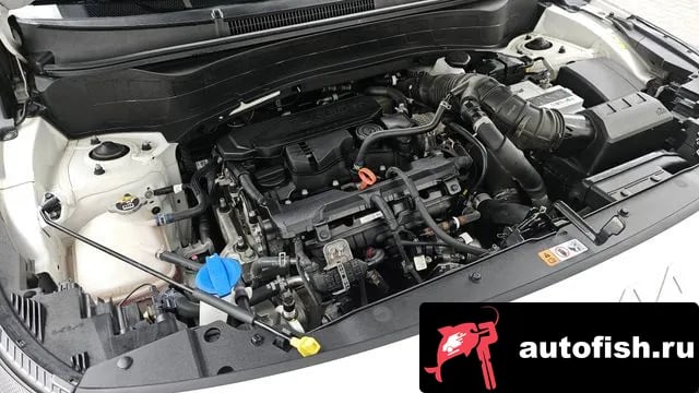 Kia Seltos The New Celtos 2022 года - вид 6