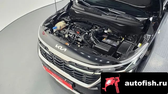 Kia Seltos The New Celtos 2022 года - вид 6