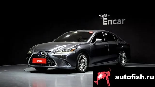 Lexus ES ES300h 7th generation 2022 года - вид 1