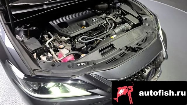 Lexus ES ES300h 7th generation 2022 года - вид 6