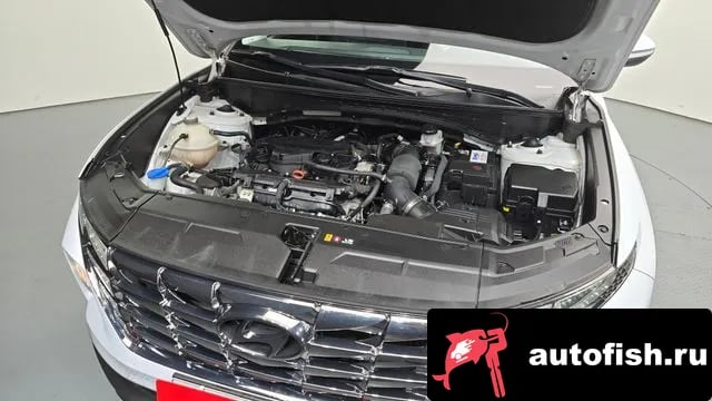 Hyundai Tucson Tucson (NX4) 2022 года - вид 6